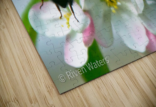 Flowers028 Riven Waters puzzle