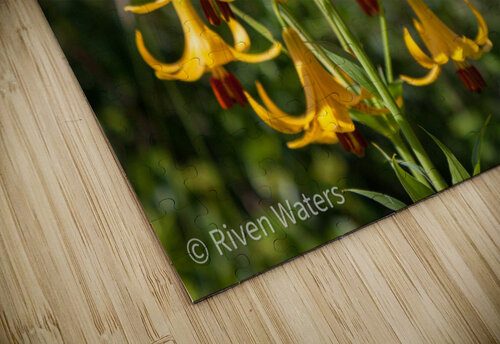 Flowers027 Riven Waters puzzle