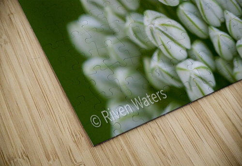 Flowers006 Riven Waters puzzle