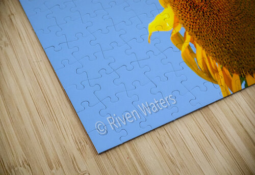 Flowers008 Riven Waters puzzle