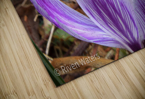 Flowers009 Riven Waters puzzle