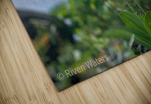 Flowers038 Riven Waters puzzle