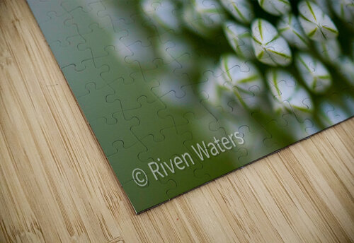Flowers007 Riven Waters puzzle