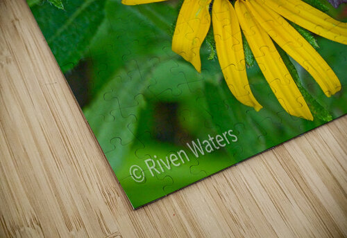 Flowers001 Riven Waters puzzle