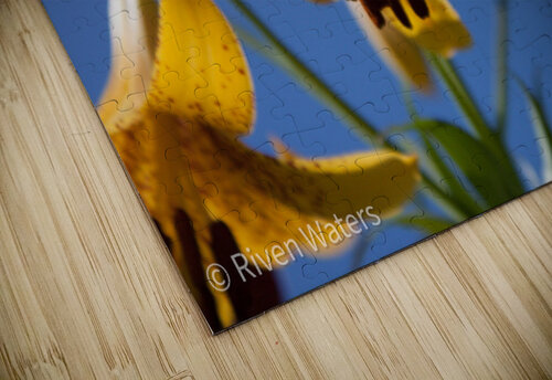 Flowers024 Riven Waters puzzle