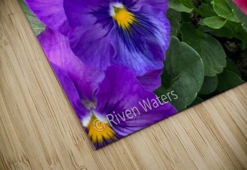 Flowers035 Riven Waters puzzle