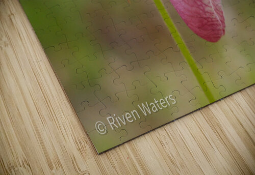Flowers031 Riven Waters puzzle