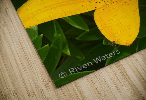 Flowers018 Riven Waters puzzle