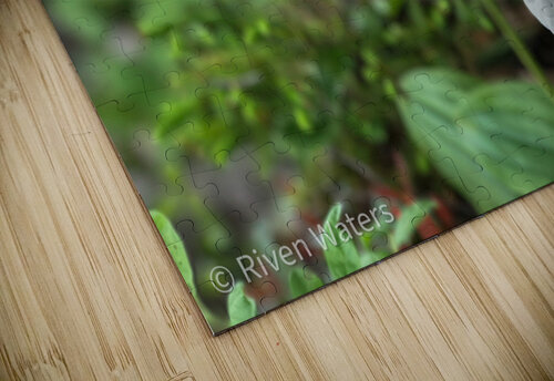 Flowers015 Riven Waters puzzle