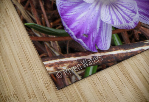 Flowers013 Riven Waters puzzle