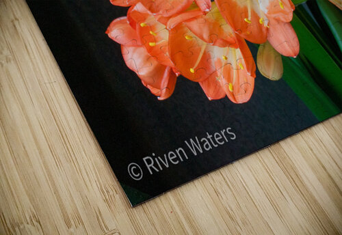 Flowers022 Riven Waters puzzle