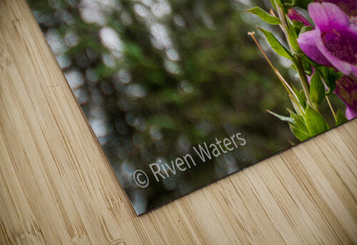 Flowers011 Riven Waters puzzle