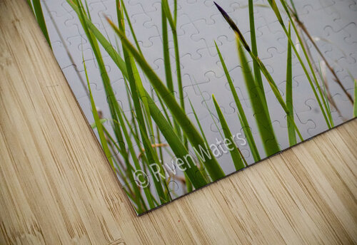 Flowers030 Riven Waters puzzle