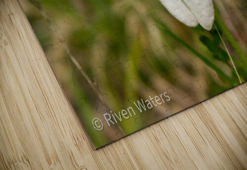 Flowers004 Riven Waters puzzle