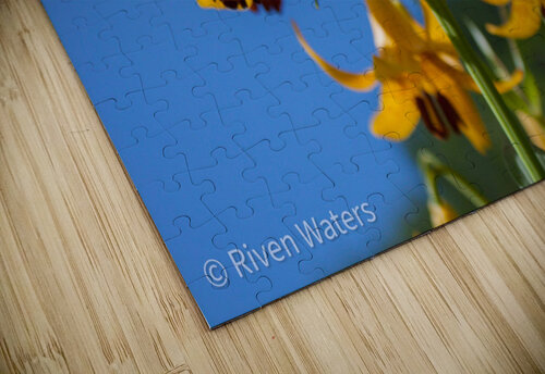 Flowers020 Riven Waters puzzle