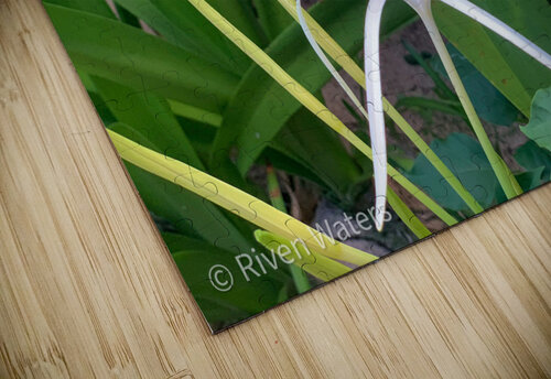 Flowers023 Riven Waters puzzle