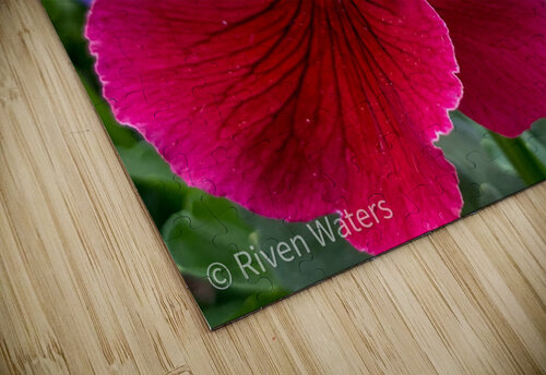 Flowers033 Riven Waters puzzle