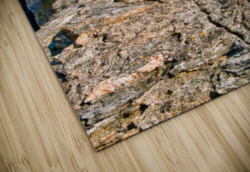Coastal 043 Riven Waters puzzle