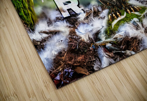 Mech Owl 1 Riven Waters puzzle