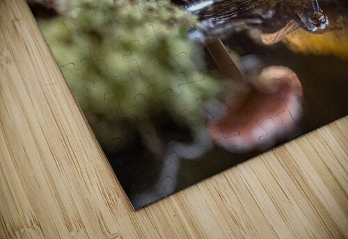 Dragonfly Reflections Riven Waters puzzle