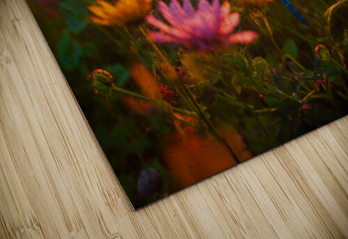 Dragonfly Sunrise Riven Waters puzzle