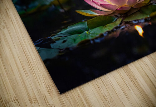 Lotus Floating Candle Riven Waters puzzle