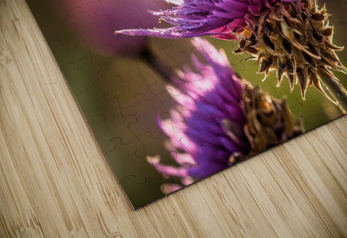 Thistle Bee Riven Waters puzzle