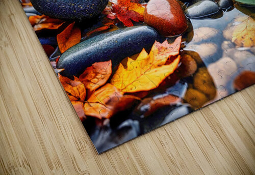 Fall No15 Riven Waters puzzle