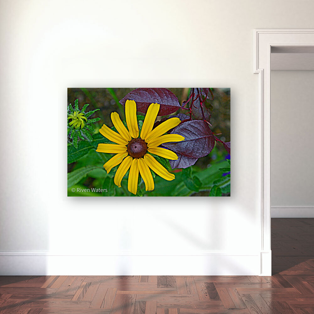Flowers001 Reproduction
