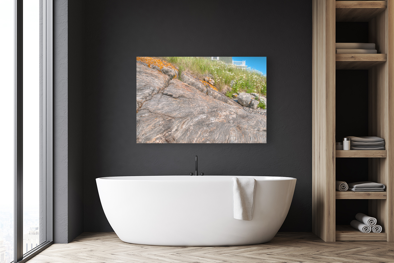 Coastal 047 Reproduction