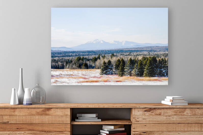 Katahdin Magic 20 Reproduction