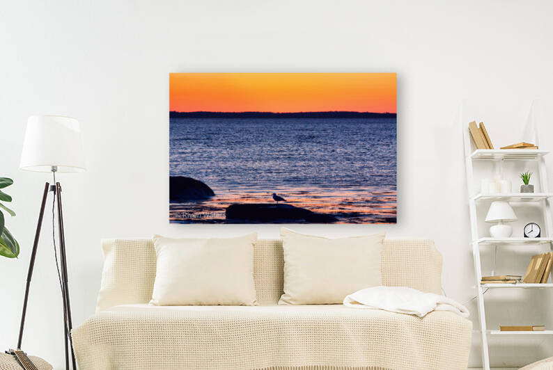 Coastal 21 by Riven Waters