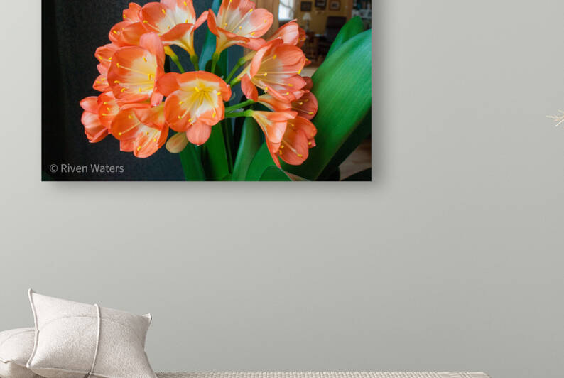Flowers022 by Riven Waters