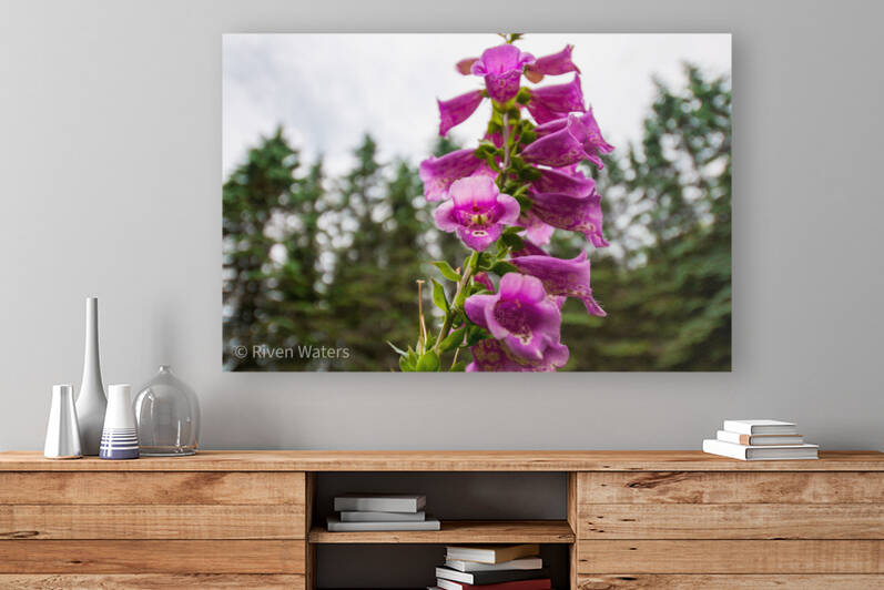 Flowers011 by Riven Waters