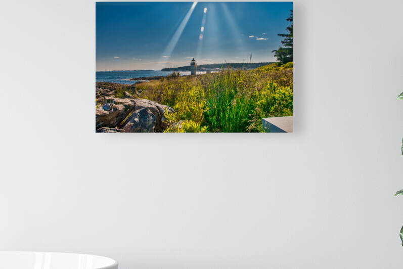 Coastal 041 Reproduction