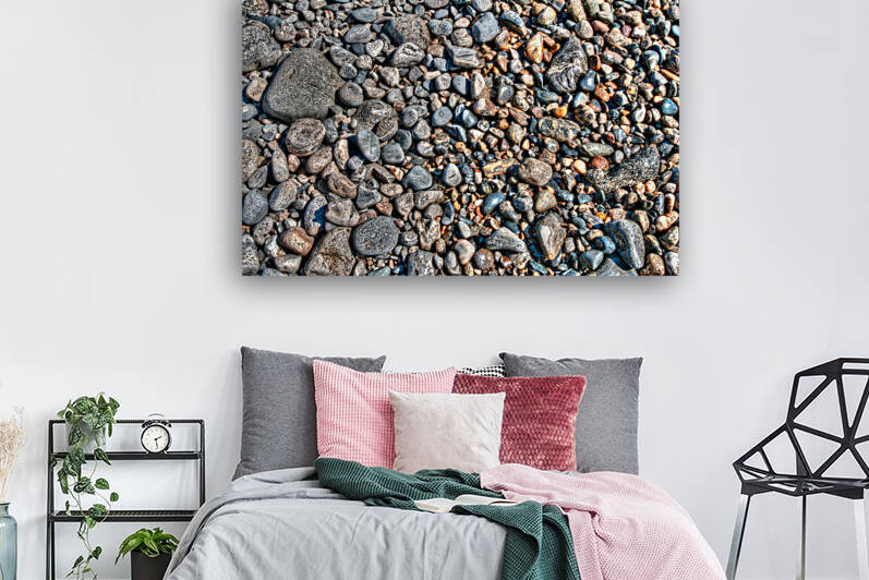 Coastal 051 Reproduction