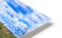 fence paint HD Metal print