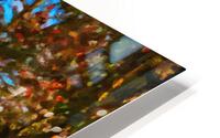 Leanto Pond HD Metal print