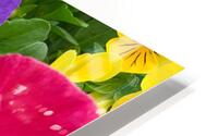Flowers035 HD Metal print