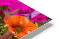 Flowers025 HD Metal print