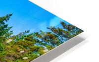 Coastal 045 HD Metal print