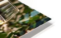 017 Food HD Metal print