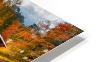 Fall No18 HD Metal print