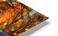 Fall No1 HD Metal print