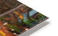 Fall No12 HD Metal print