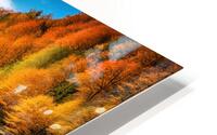 Fall No20 HD Metal print