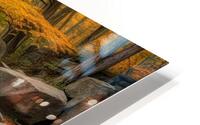 Fall No9 HD Metal print