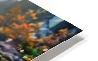 Fall No15 HD Metal print