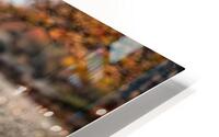 Fall No8 HD Metal print