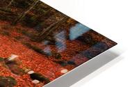 Fall No11 HD Metal print